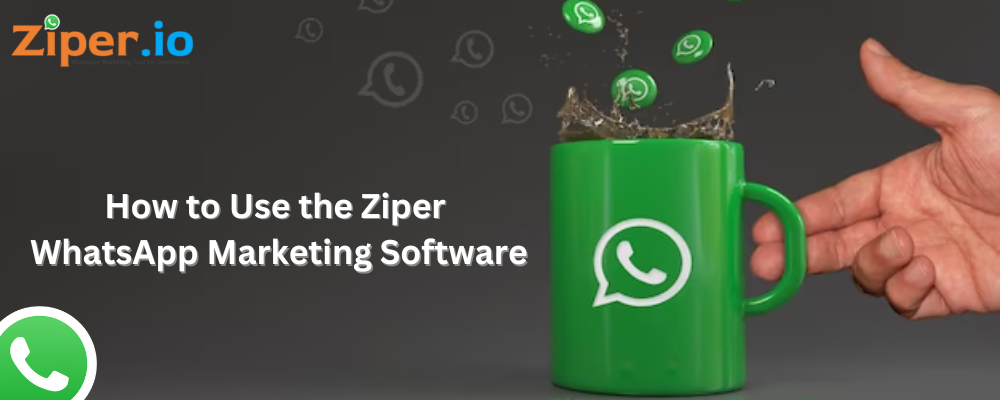 Ziper WhatsApp Marketing Software